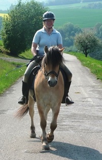 Wanderreiten Hohenlohe - Franzi