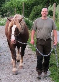 Wanderreiten Hohenlohe - Stefan