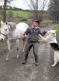 Wanderreiten Hohenlohe - Sylvia